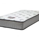 ニトリシーリー