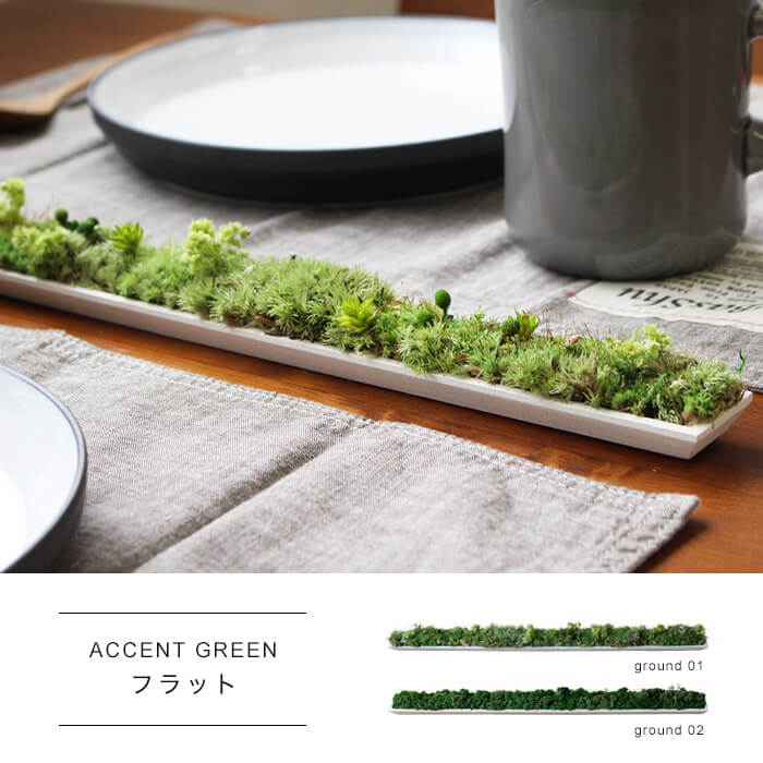 ACCENT GREEN